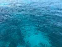 Great day of scuba diving in Key Largo with Rainbow Reef on snapper ledge tropical voyager 2015 10 30 r2214 1