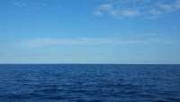 Great day of scuba diving in Key Largo with Rainbow Reef on spiegel grove tropical adventure 2015 10 30 r2206 1