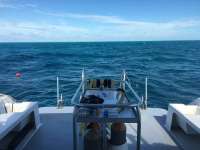 Great day of scuba diving in Key Largo with Rainbow Reef on spiegel grove tropical odyssey 2015 10 27 r2195 1
