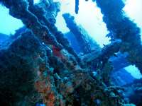 Great day of scuba diving in Key Largo with Rainbow Reef on spiegel grove tropical odyssey 2015 10 31 r2218 1