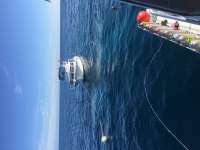 Great day of scuba diving in Key Largo with Rainbow Reef on spiegel grove tropical voyager 2015 10 11 r2133 1