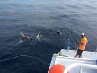Great day of scuba diving in Key Largo with Rainbow Reef on uscgc duane tropical adventure 2015 10 07 r2112 1