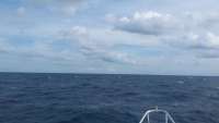 Great day of scuba diving in Key Largo with Rainbow Reef on uscgc duane tropical adventure 2015 10 23 r2175 1
