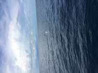 Great day of scuba diving in Key Largo with Rainbow Reef on uscgc duane tropical voyager 2015 10 11 r2136 1