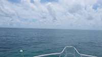 Great day of scuba diving in Key Largo with Rainbow Reef on banana patch tropical adventure 2015 09 10 r1990 1