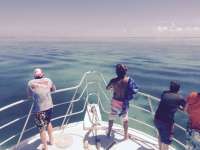 Great day of scuba diving in Key Largo with Rainbow Reef on banana patch tropical adventure 2015 09 21 r2041 1