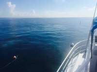 Great day of scuba diving in Key Largo with Rainbow Reef on benwood wreck tropical adventure 2015 09 05 r1968 1