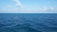 Great day of scuba diving in Key Largo with Rainbow Reef on benwood wreck tropical odyssey 2015 09 13 r2005 1