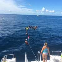Great day of scuba diving in Key Largo with Rainbow Reef on drift molasses tropical voyager 2015 09 20 r2035 2