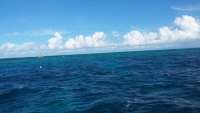 Great day of scuba diving in Key Largo with Rainbow Reef on eagle ray alley tropical odyssey 2015 09 19 r2023 1
