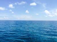 Great day of scuba diving in Key Largo with Rainbow Reef on french reef tropical voyager 2015 09 06 r1977 1
