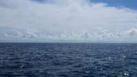 Great day of scuba diving in Key Largo with Rainbow Reef on molasses reef tropical odyssey 2015 09 26 r2067 1