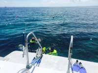 Great day of scuba diving in Key Largo with Rainbow Reef on north dry rocks tropical adventure 2015 09 05 r1970 1