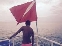 Great day of scuba diving in Key Largo with Rainbow Reef on snapper ledge tropical adventure 2015 09 29 r2080 1