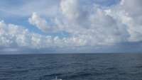 Great day of scuba diving in Key Largo with Rainbow Reef on spiegel grove tropical adventure 2015 09 09 r1986 1