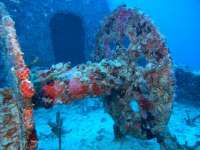 Great day of scuba diving in Key Largo with Rainbow Reef on spiegel grove tropical odyssey 2015 09 29 r2081 1
