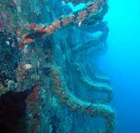 Great day of scuba diving in Key Largo with Rainbow Reef on spiegel grove tropical odyssey 2015 09 29 r2081 2