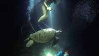 Great day of scuba diving in Key Largo with Rainbow Reef on winch hole tropical odyssey 2015 09 05 r1973 1