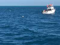 Great day of scuba diving in Key Largo with Rainbow Reef on benwood wreck tropical legend 2016 04 24 r2745 1