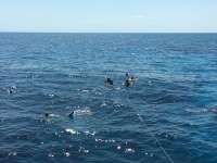Great day of scuba diving in Key Largo with Rainbow Reef on benwood wreck tropical odyssey 2016 04 13 r2714 1
