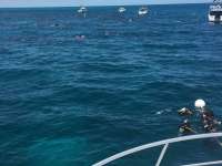 Great day of scuba diving in Key Largo with Rainbow Reef on christ statue tropical adventure 2016 04 09 r2701 1