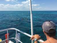 Great day of scuba diving in Key Largo with Rainbow Reef on city of washington tropical legend 2016 04 05 r2690 1