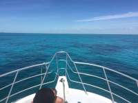 Great day of scuba diving in Key Largo with Rainbow Reef on eagle ray alley tropical adventure 2016 04 08 r2698 1
