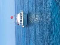 Great day of scuba diving in Key Largo with Rainbow Reef on eagle ray alley tropical adventure 2016 04 08 r2698 2