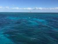 Great day of scuba diving in Key Largo with Rainbow Reef on eagle ray alley tropical legend 2016 04 10 r2704 1