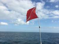 Great day of scuba diving in Key Largo with Rainbow Reef on french reef tropical odyssey 2016 04 12 r2709 1