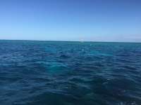 Great day of scuba diving in Key Largo with Rainbow Reef on hole in the wall tropical legend 2016 04 18 r2729 1