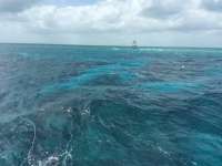 Great day of scuba diving in Key Largo with Rainbow Reef on north star tropical odyssey 2016 04 11 r2708 2
