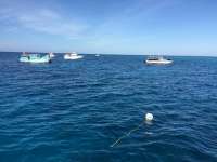 Great day of scuba diving in Key Largo with Rainbow Reef on north star tropical voyager 2016 04 08 r2696 1