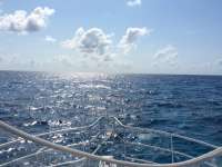Great day of scuba diving in Key Largo with Rainbow Reef on rebreather spiegel tropical odyssey 2016 04 14 r2716 1