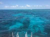 Great day of scuba diving in Key Largo with Rainbow Reef on snapper ledge tropical odyssey 2016 04 15 r2718 1