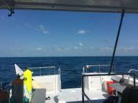 Great day of scuba diving in Key Largo with Rainbow Reef on spiegel grove tropical explorer 2016 04 13 r2713 1