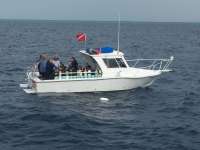 Great day of scuba diving in Key Largo with Rainbow Reef on spiegel grove tropical legend 2016 04 16 r2721 1