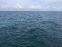 Great day of scuba diving in Key Largo with Rainbow Reef on spiegel grove tropical odyssey 2016 04 17 r2728 1