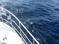 Great day of scuba diving in Key Largo with Rainbow Reef on uscgc bibb tropical legend 2016 04 20 r2737 1