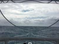 Great day of scuba diving in Key Largo with Rainbow Reef on uscgc duane tropical legend 2016 04 22 r2739 1