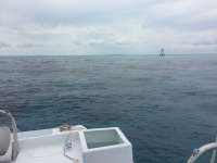 Great day of scuba diving in Key Largo with Rainbow Reef on winch hole tropical odyssey 2016 04 15 r2720 1