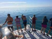 Great day of scuba diving in Key Largo with Rainbow Reef on benwood wreck tropical legend 2016 08 21 r3194 1