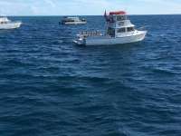 Great day of scuba diving in Key Largo with Rainbow Reef on eagle ray alley tropical adventure 2016 08 12 r3166 1