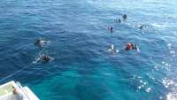 Great day of scuba diving in Key Largo with Rainbow Reef on eagle ray alley tropical legend 2016 08 22 r3197 1