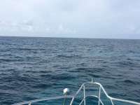 Great day of scuba diving in Key Largo with Rainbow Reef on french reef tropical adventure 2016 08 07 r3150 1