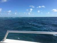 Great day of scuba diving in Key Largo with Rainbow Reef on hole in the wall tropical legend 2016 08 13 r3169 1