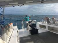 Great day of scuba diving in Key Largo with Rainbow Reef on hole in the wall tropical legend 2016 08 30 r3209 1