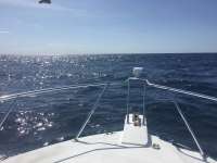 Great day of scuba diving in Key Largo with Rainbow Reef on molasses deep tropical explorer 2016 08 05 r3140 1