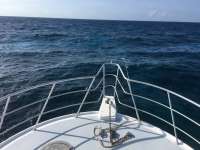 Great day of scuba diving in Key Largo with Rainbow Reef on molasses reef tropical adventure 2016 08 04 r3138 1