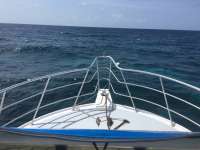 Great day of scuba diving in Key Largo with Rainbow Reef on molasses reef tropical adventure 2016 08 06 r3146 1